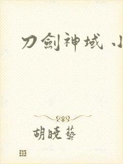 刀剑神域 小说