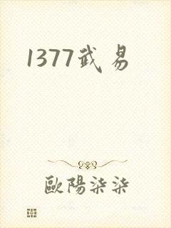 1377武易