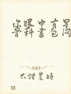 你眼中有星辰h骨科书包网