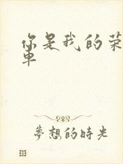 你是我的荣耀肉车