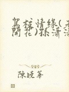 驾校情缘(老树开花)孙潇潇笔趣阁