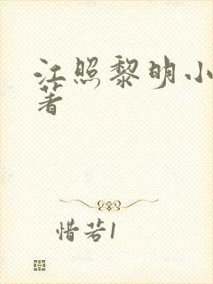 江照黎明小说原著