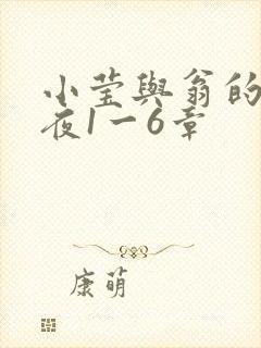 小莹与翁的销魂夜1一6章