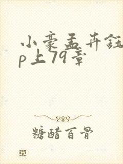 小豪孟卉钰慧三p上79章