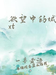 欲望中的城市txt