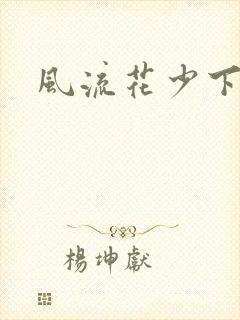 风流花少下载
