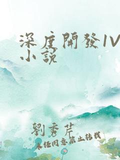 深度开发1V3小说