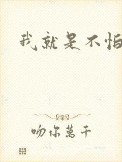 我就是不怕小说