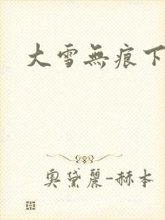 大雪无痕下载