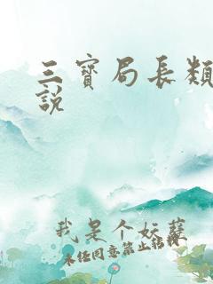 三宝局长类似小说