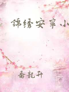 锦绣安宁小说