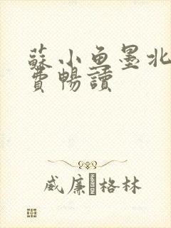 苏小鱼墨北枭免费畅读