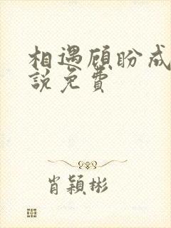 相遇顾盼成欢小说免费