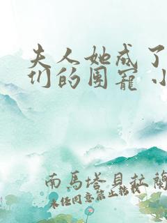 夫人她成了大佬们的团宠 小说