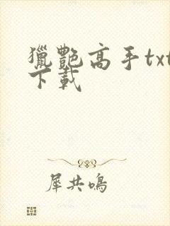 猎艳高手txt下载