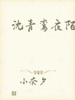 沈青鸾夜陌凌