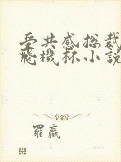 受共感总裁攻的飞机杯小说叫什么