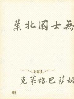 叶北国士无双