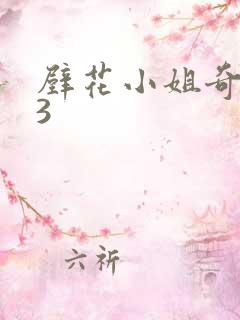 壁花小姐奇遇记3