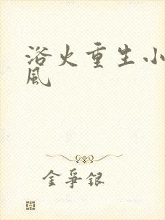 浴火重生小说陈风