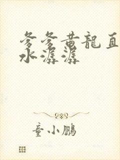 爹爹黄龙直捣溪水潺潺