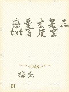 恋爱才是正经事txt百度云