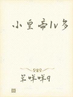 小皇帝1v多