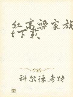 红高粱家族txt下载