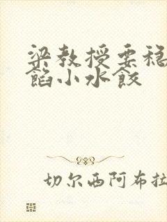 梁教授要稳住肉馅小水饺