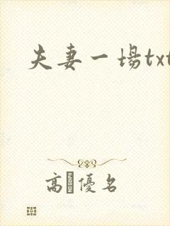 夫妻一场txt