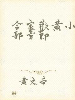 合家欢黄小梅全部章节