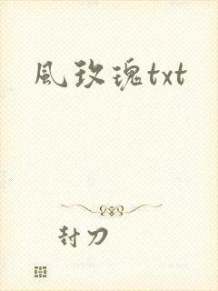 风玫瑰txt