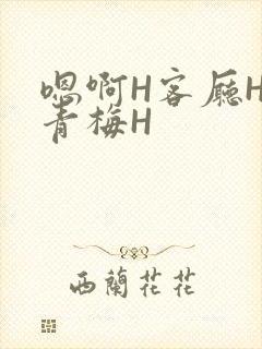 嗯啊H客厅HH青梅H