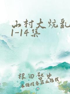 山村大炕乱肉续1-14集