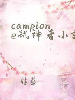 campione弑神者小说