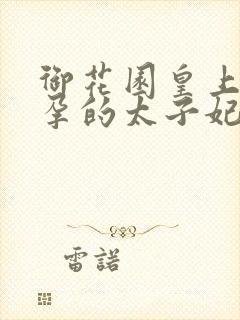 御花园皇上c有孕的太子妃