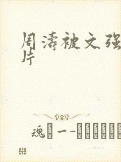 周涛被文强睡图片