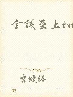 金钱至上txt