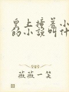 皇上撞着小公主的小说叫什么