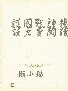 护国战神杨风小说免费阅读