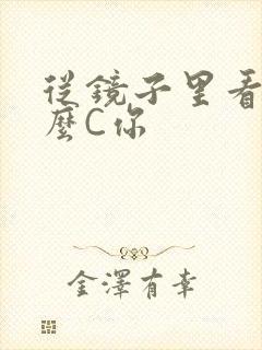 从镜子里看我怎么C你