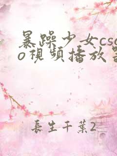 暴躁少女csgo视频播放器推荐