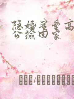 隐婚蜜爱高冷老公捡回家