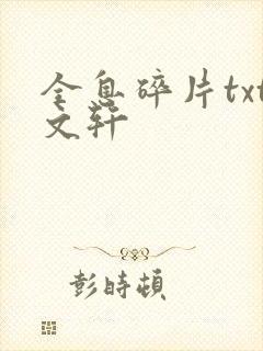 全息碎片txt文轩