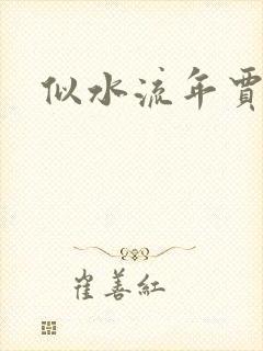 似水流年贾二虎