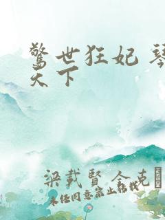 惊世狂妃 琴战天下