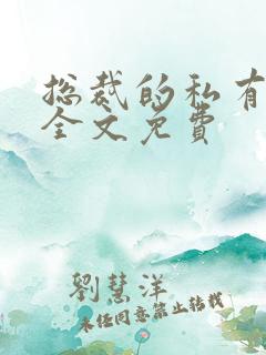 总裁的私有宝贝全文免费