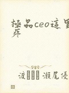 极品ceo这里疼