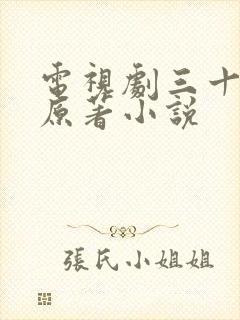 电视剧三十而已原著小说