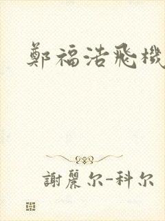 郑福浩飞机坠海